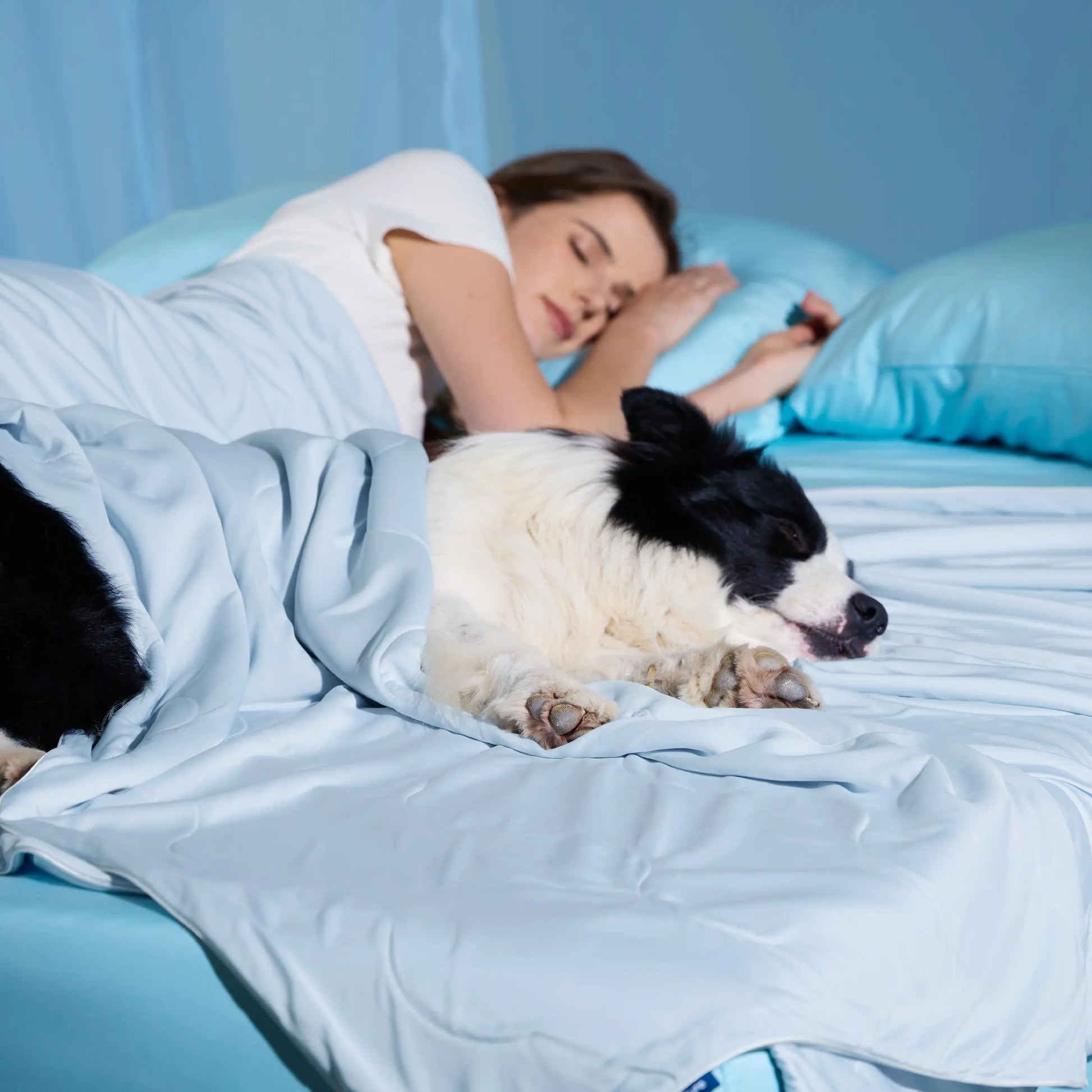 Bedsure Pet Cooling Blanket for Dogs & Cats, Washable Breathable Ice Throw for Couch & Bed