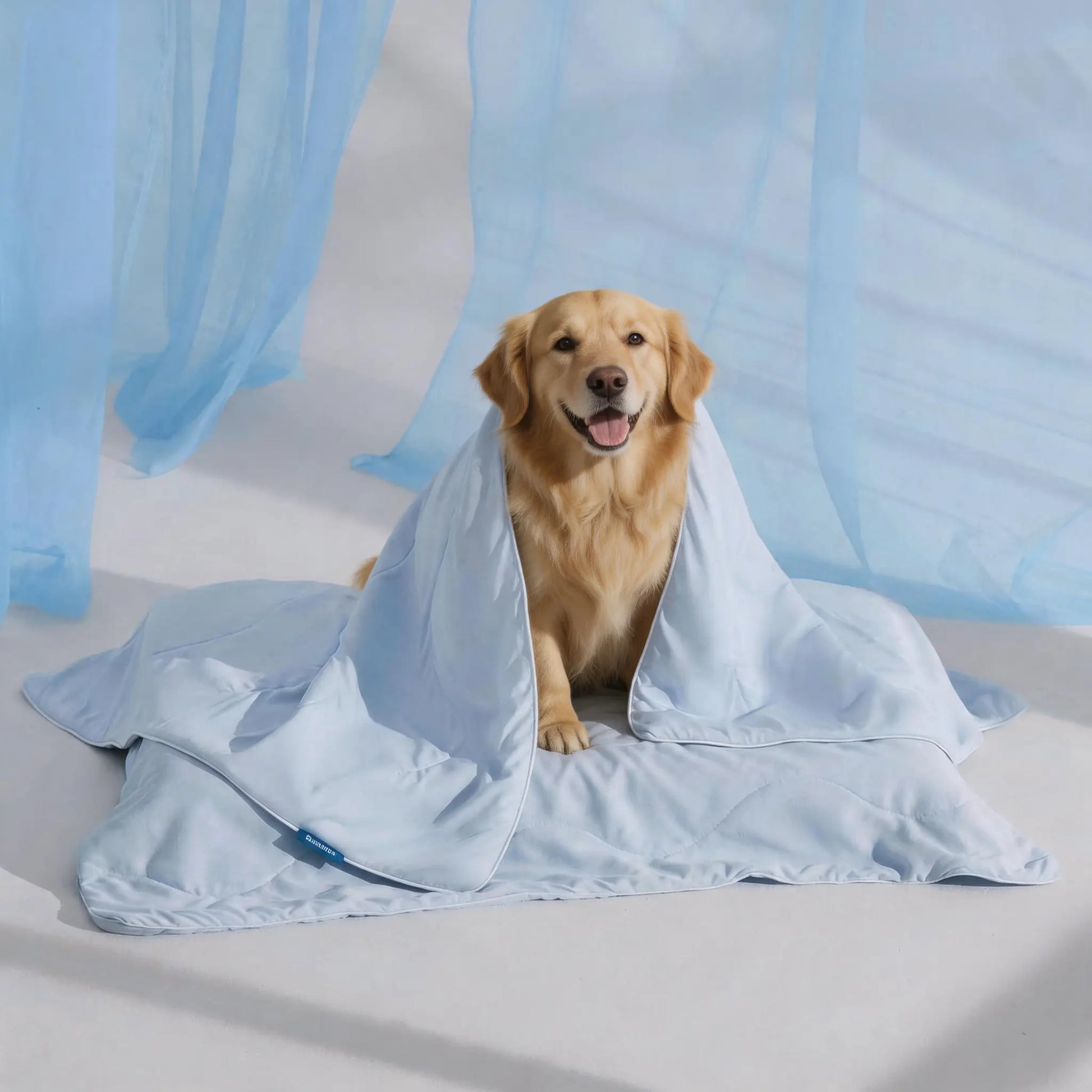 Bedsure Pet Cooling Blanket for Dogs & Cats, Washable Breathable Ice Throw for Couch & Bed